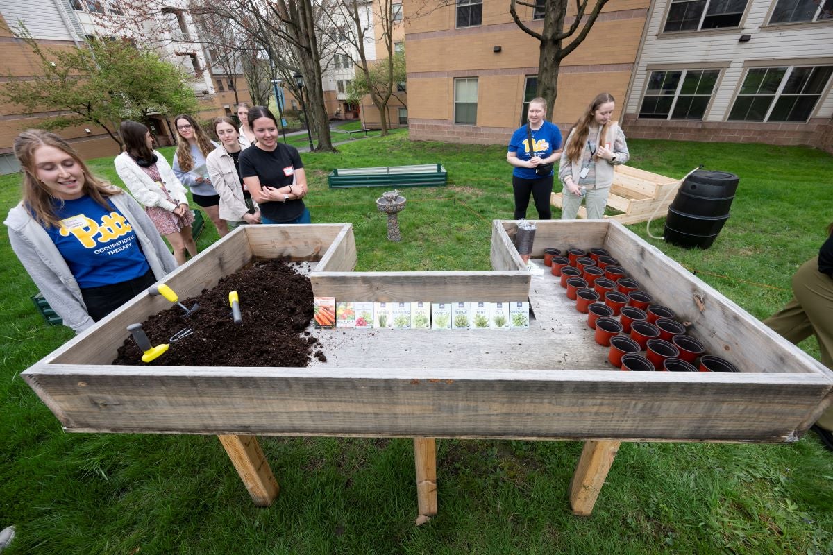 Participants planting a variety of vegetables and fruits