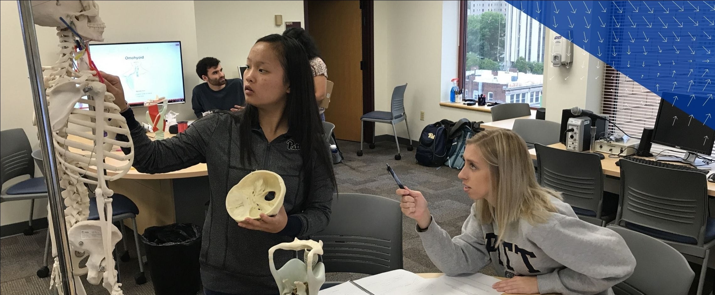 students working with skeleton