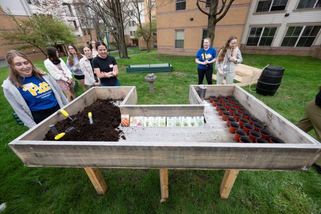 Participants planting a variety of vegetables and fruits in the Healthy Home Lab garden.