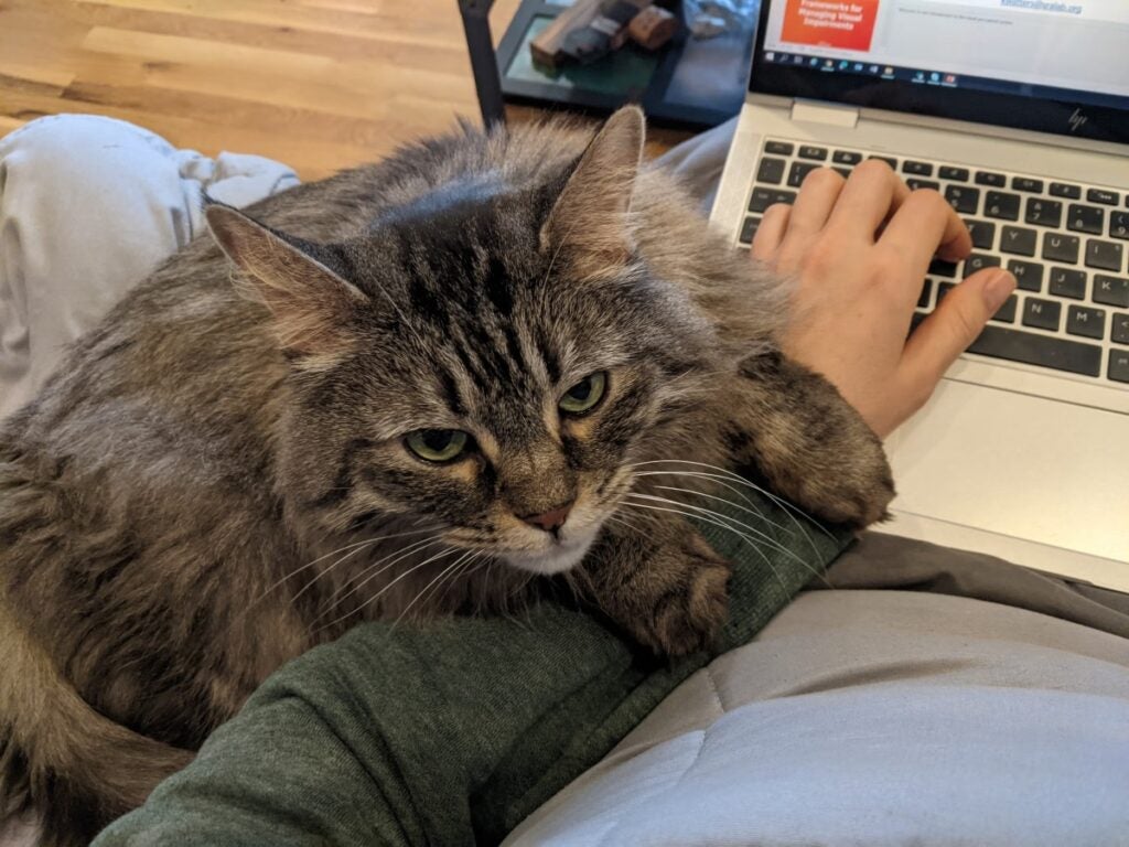 A gray and black cat with green eyes sitting on a couch, laying his face on a woman's arm.